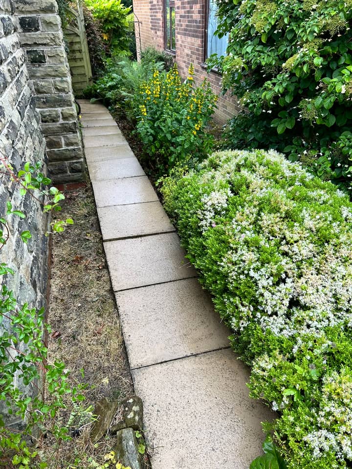 A cleaned pale flagged path running past flower beds