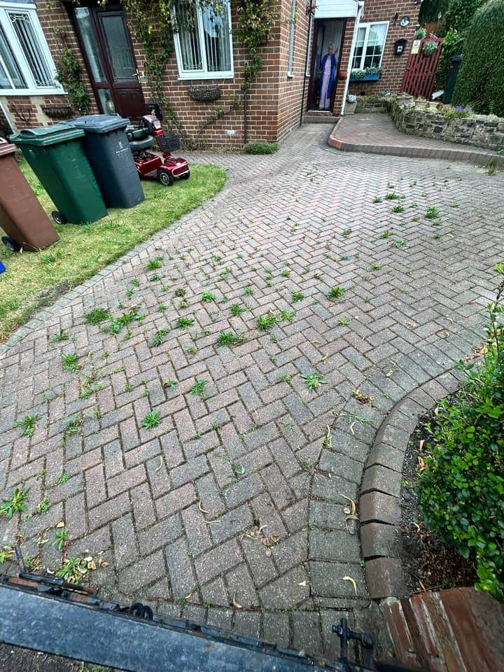 Curved block-paved driveway gone grey, with weeds growing in the joints and wheelie bins on the lawn edge