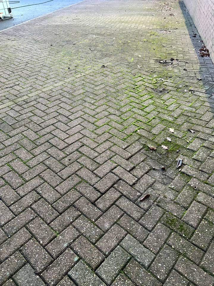 Block-paved car park bays turned grey with moss filling the joints