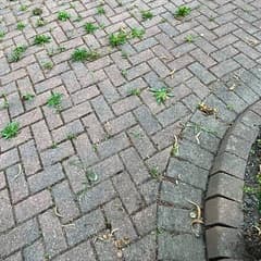 Block paving with weeds growing out of the joints